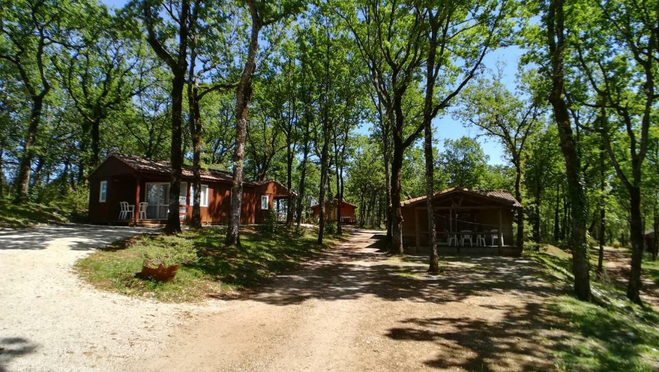 La Truffiere Saint Cirq Lapopie Pension Buitenkant foto